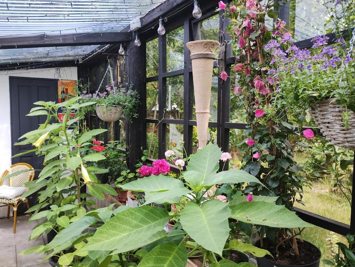 Ezzo Guest House 낙스코우 외부 사진