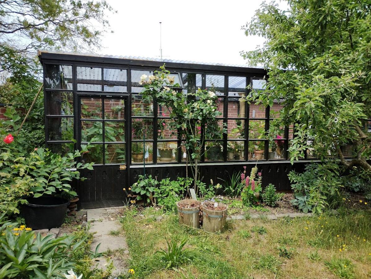 Ezzo Guest House 낙스코우 외부 사진